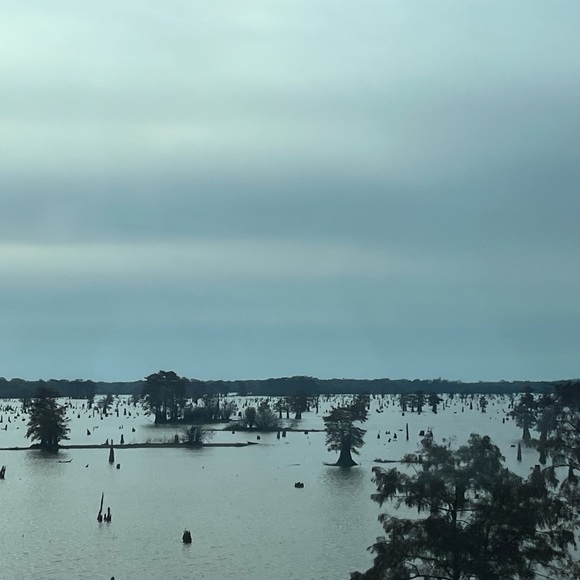 Meet your posher RDL - Picture 8 of 10